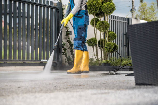 Best Roof Pressure Washing  in Pearisburg, VA