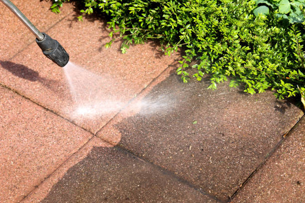 Best Affordable Pressure Washing  in Pearisburg, VA